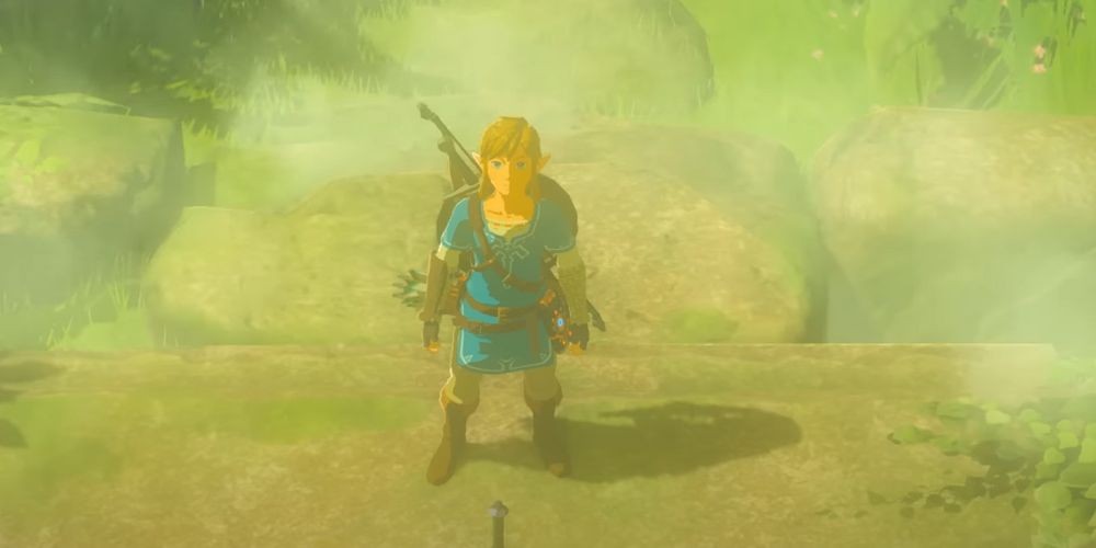 Final Wisdom for Breath of the Wild Enthusiasts